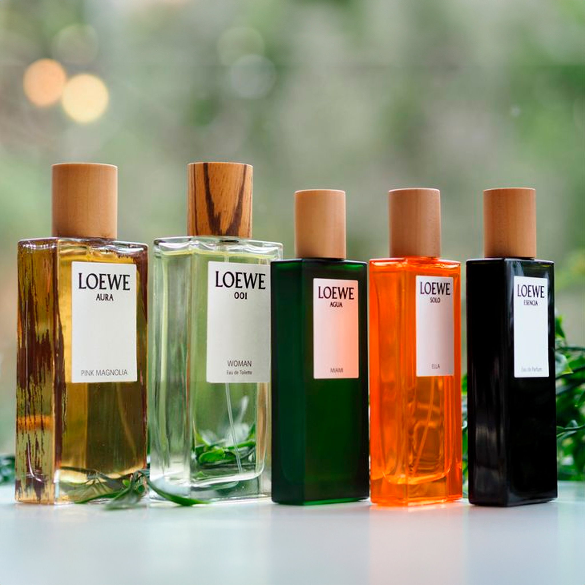Loewe